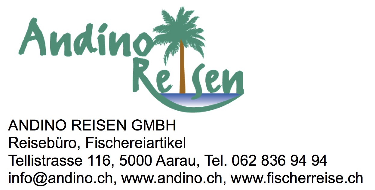 Andino